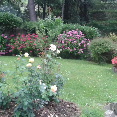 Aurelia Apartament *